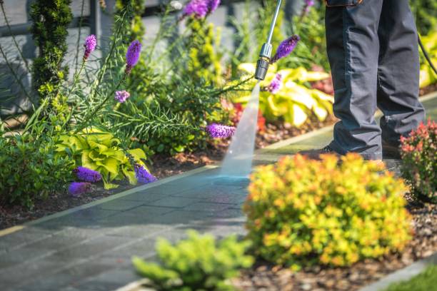 Best Patio and Deck Pressure Washing  in New Egypt, NJ