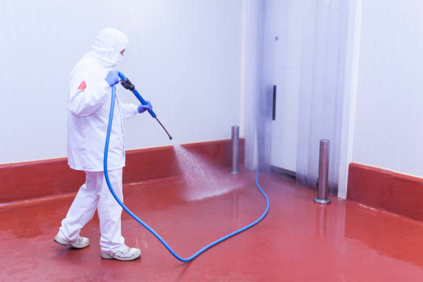 Best Building Exterior Washing  in New Egypt, NJ